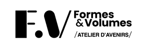 Formes et volumes réalisation de maquette professionnel logo