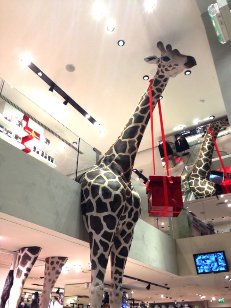 maquette girafe décorative magasin célio paris